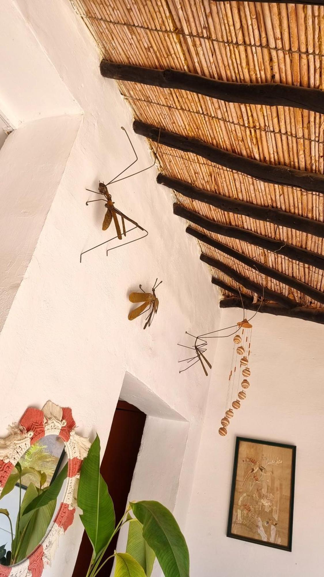 La Casona Espacio Bonito 萨帕托卡 外观 照片